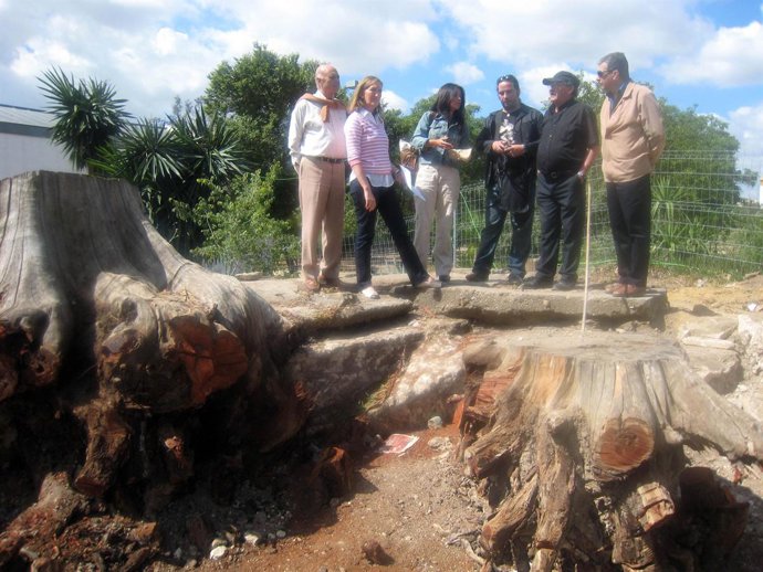 Visita Del PP A Miraflores