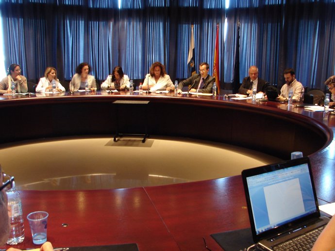 Reunión De La Mesa Sectorial De Función Pública De Canarias