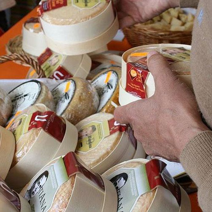 El queso puede mejorar el sistema inmune de los mayores