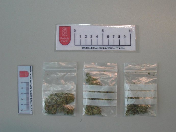 Sustancias Intervenidas A La Persona Detenida En Tudela.