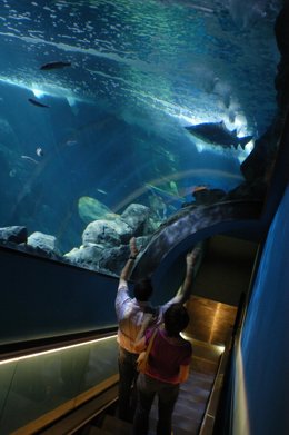 Acuario De Gijón.