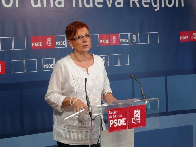La Viceportavoz Del Grupo Parlamentario Socialista, Begoña García Retegui 