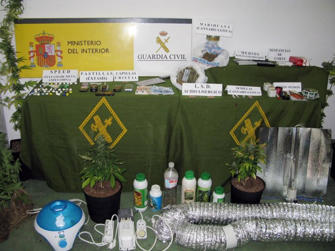 Guardia Civil Desmantela Un Punto De Producción De Droga En San Javier