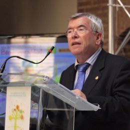 presidente de la Federación Española de Municipios y Provincias (FEMP), Pedro Ca