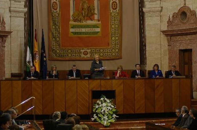 Imagen Del Pleno Del Parlamento