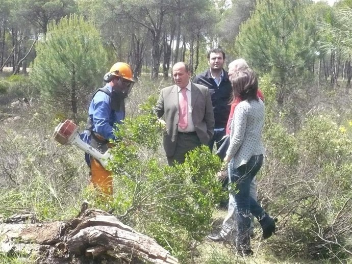 Trabajos En Valdelamusa