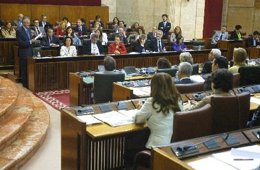 Imagen Del Pleno Del Parlamento