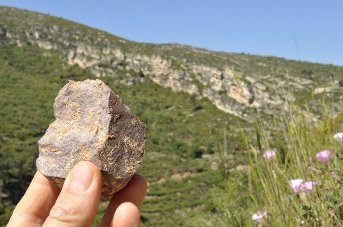 Utensilio Prehistórico Hallado En La Cansaladeta (Tarragona)