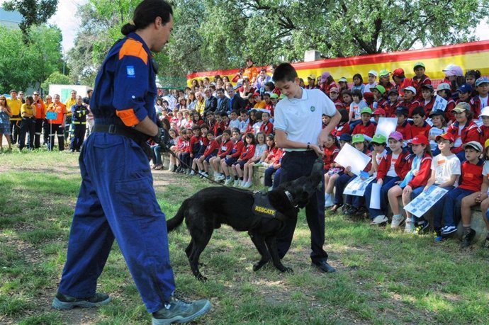 Jornada De Emergencias Del SAMUR