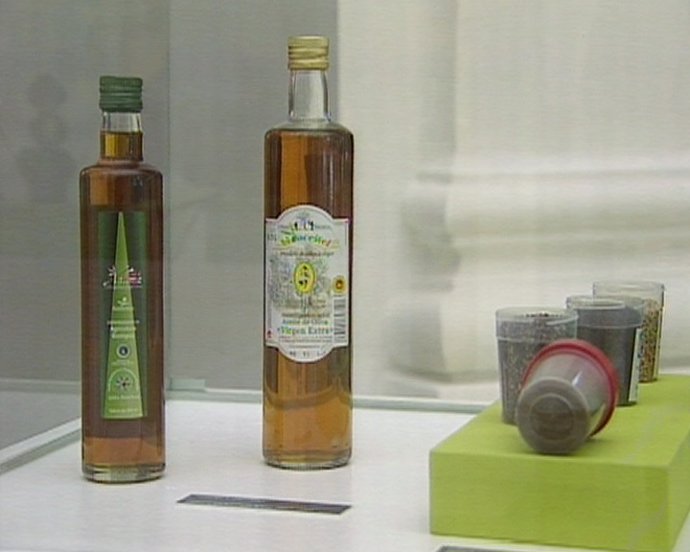 El parlamento extremeño recoge una exposición monográfica sobre el olivo