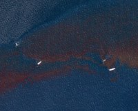 La Casa Blanca califica el vertido del Golfo como el "mayor desastre medioambiental de la historia de EEUU"