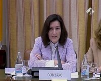 El Congreso amplía de nuevo el plazo de enmiendas a la Ley Sinde 