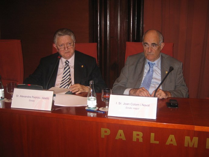 Los síndicos de cuentas Alexandre Pedrós y Joan Colom