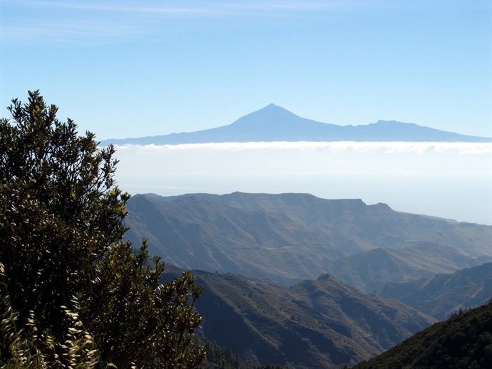 SEMANA DEL MEDIO AMBIENTE