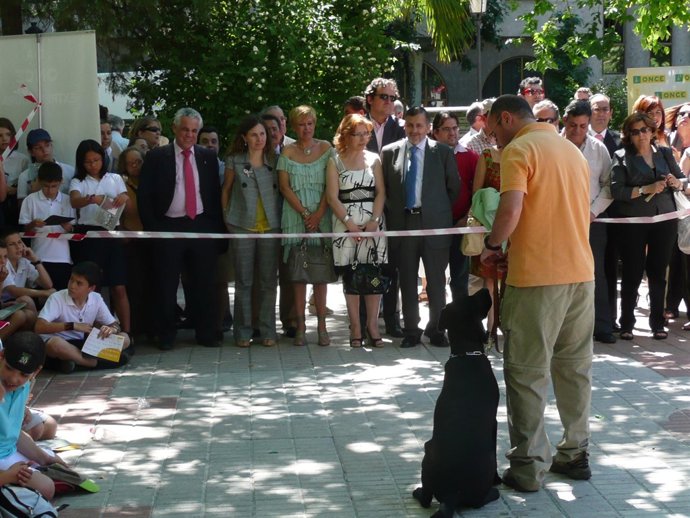 Exhibicióndeperrosguía