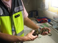 Desarticulan cuatro puntos de venta de droga en Las Castañetas y detienen a seis personas