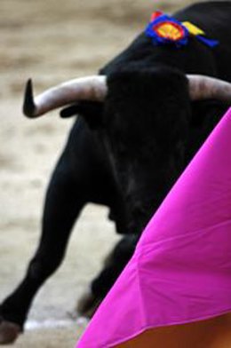 Toro entrando al capote