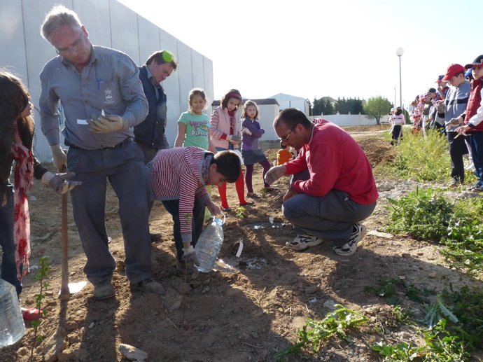 Reforestación compostada que se ha llevado a cabo en Arjonilla (Jaén)