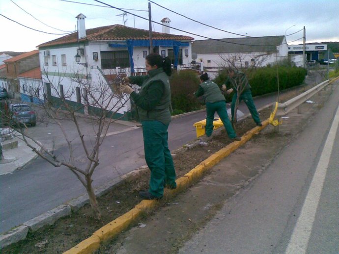 Jóvenes realizan prácticas dentro de los programas de formación promovidos por l