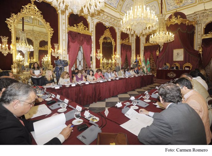 Pleno de Diputación de Cádiz