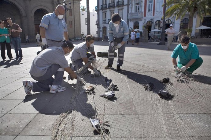 Un grupo de trabajadores durante la campaña de captura