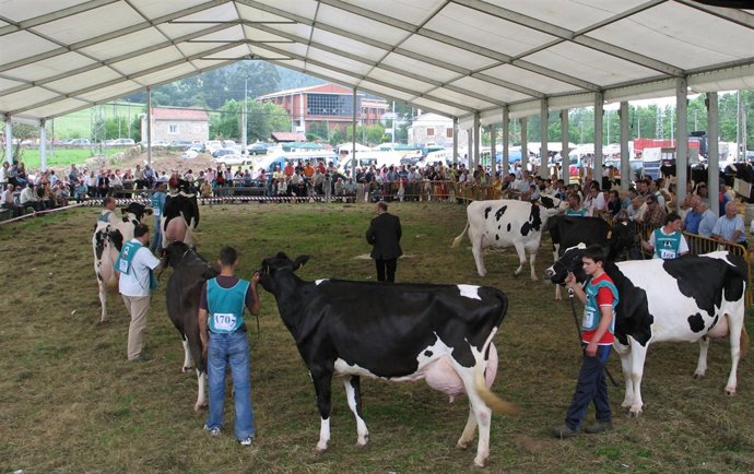 NOTA Y FOTOS FERIA 2010