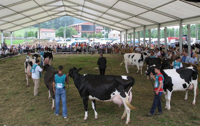 NOTA Y FOTOS FERIA 2010