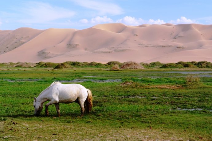 Imagen de una llanura en Mongolia