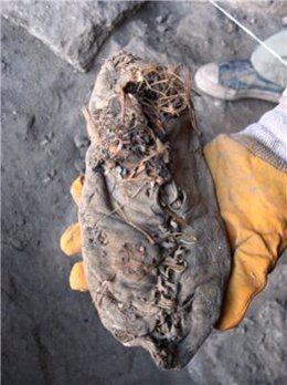 Zapato de piel más antiguo del mundo