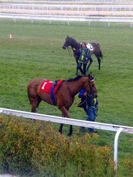 Presentación de PlayEnglish