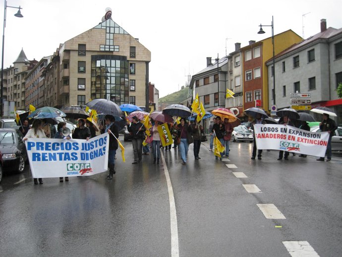 Un momento de la movilización convocada por COAG