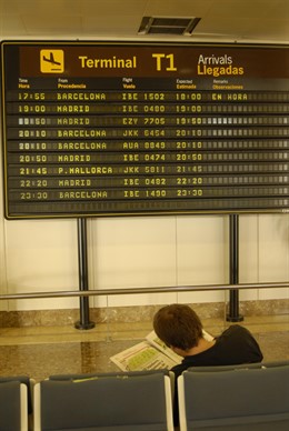 Un pasajero frente a un panel informativo.