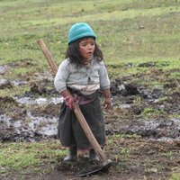 Doña Letizia anima a los niños del Programa Scream de la OIT a seguir luchando