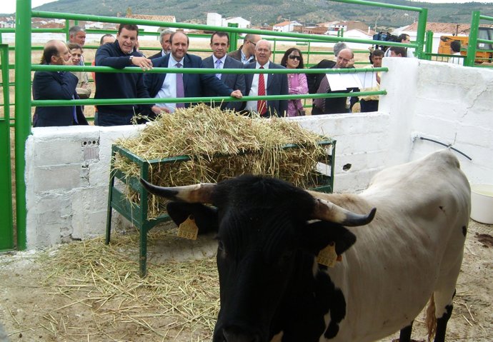 Consejero de Agricultura