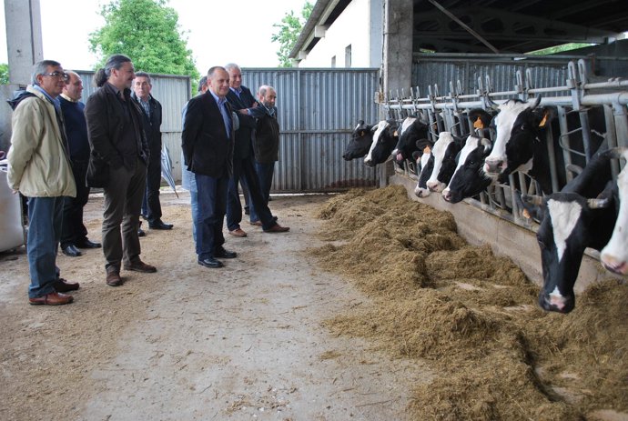 Explotación agroganadera en Sarria