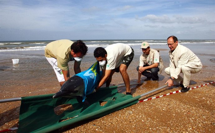 Visita de Díaz Trillo a los voluntarios