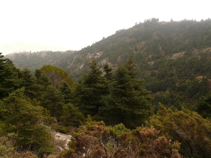Parque Natural Sierra de las Nieves