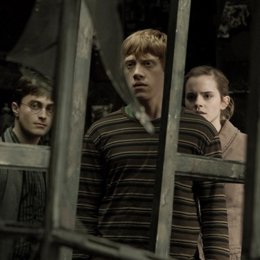 Rupert Grint en Harry Potter y el Misterio del Príncipe
