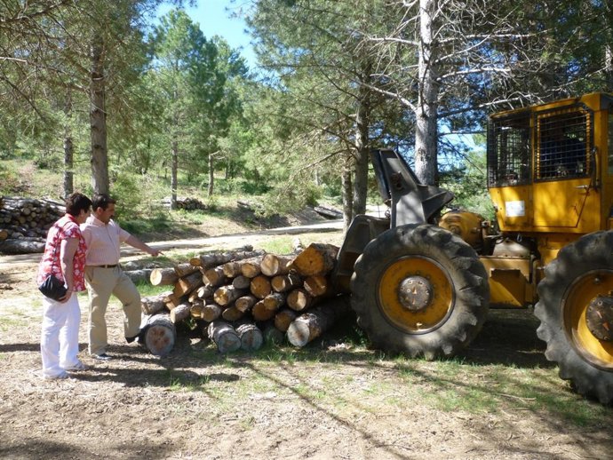 Delegado de Medio Ambiente, José Castro