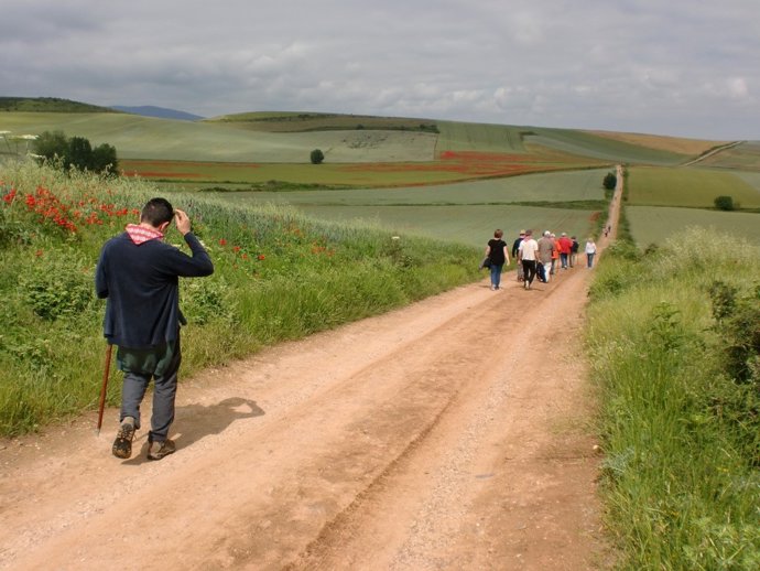 Fotografíasautoresnocamiño,LITVI2010