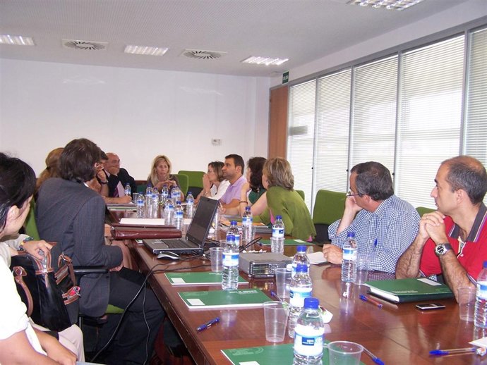 La delegada de Salud, María José  Rico, durante la reunión sobre la red 