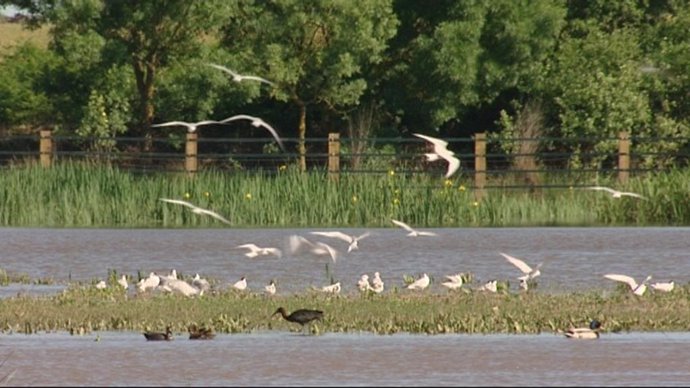 Parque de Doñana