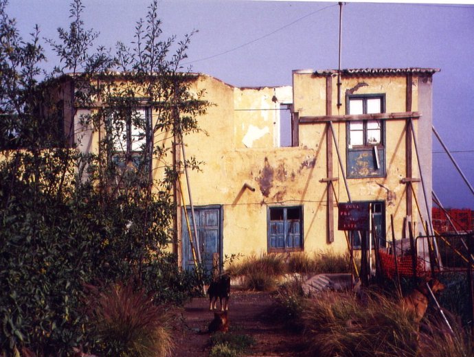 casa amarilla de Tenerife donde se estudió la capacidad cognitiva de los grandes