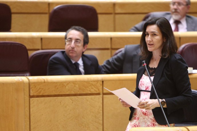 La ministra de Cultura, Ángeles González-Sinde en el Senado
