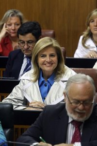 PP-A culpa al PSOE-A del fracaso de la declaración en apoyo al PER por "intentar apropiarse" de las políticas agrarias