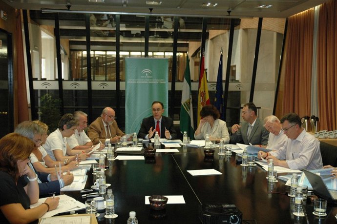 Consejo asesor de IDEA