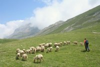 Consenso entre el Estado y las tres CC.AA. para preservar la unidad ambiental de Picos de Europa