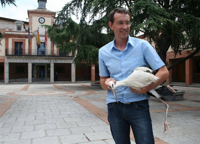 El veterinario de Las Rozas con el polluelo de cigüeña