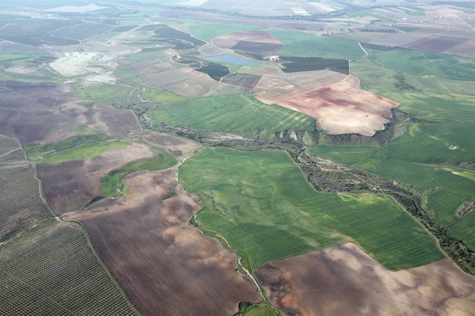 Vista área de balsas en el Bajo Guadalquivir