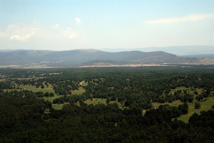 Monte De Valonsadero